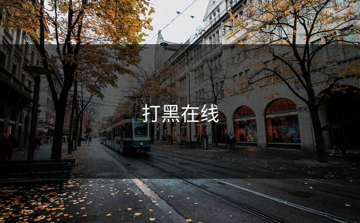 打黑在线