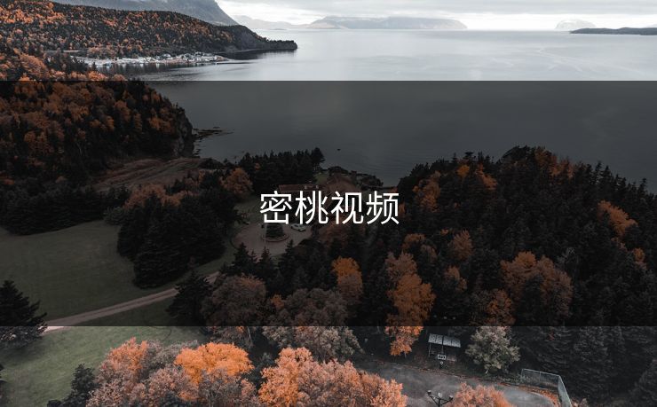 密桃视频