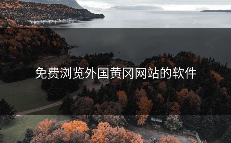 免费浏览外国黄冈网站的软件